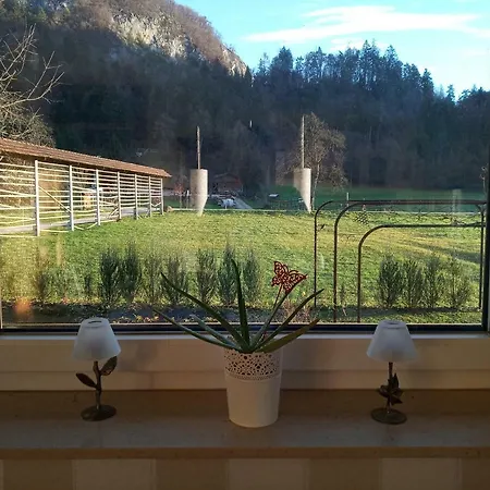 Entire House Iris & Arnika * Bled