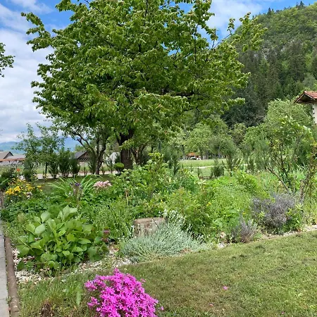 Entire House Iris & Arnika *