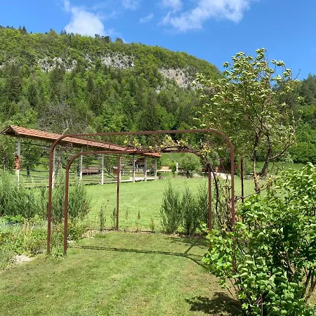 Entire House Iris & Arnika *