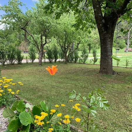 Entire House Iris & Arnika *