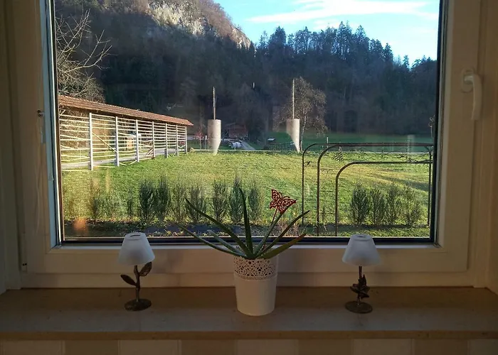 Entire House Iris & Arnika * Bled