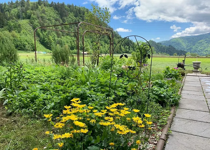 Entire House Iris & Arnika