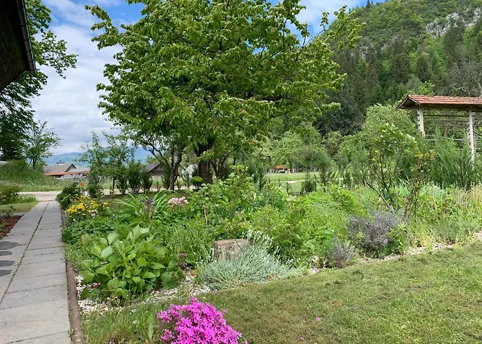 Entire House Iris & Arnika *