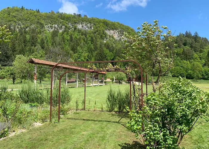 Entire House Iris & Arnika *