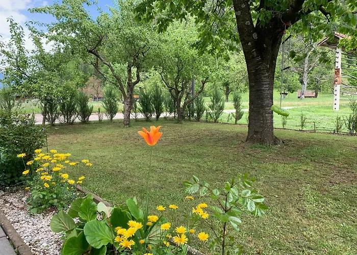 Entire House Iris & Arnika *